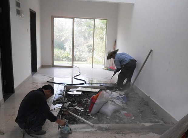 �c���鿴��DƬ